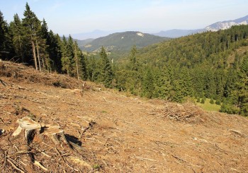 Furand Romania celor care o iubesc: Manipularea cu harta sitului Natura 2000 Bucegi