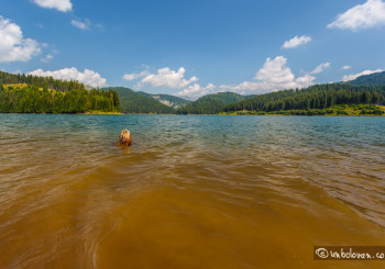 Sinaia – Padina asfaltat aproape integral – VIDEO