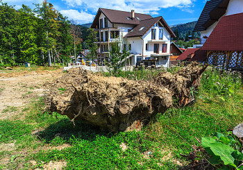 Defrişările ilegale de la Căminul Alpin, luni 26 octombrie