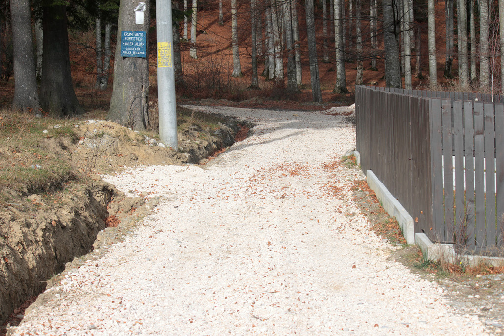 Drum forestier pietruit